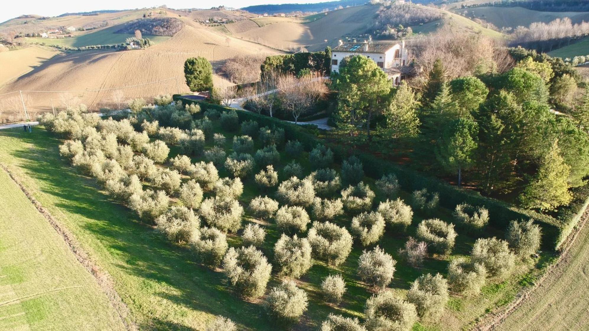 Monterosato Country House Monterubbiano Exterior photo